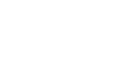Logo RugbyToulouse.com